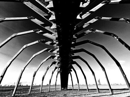 burning man - under chilopod the giant centipede, art installation, centipede, chilopod