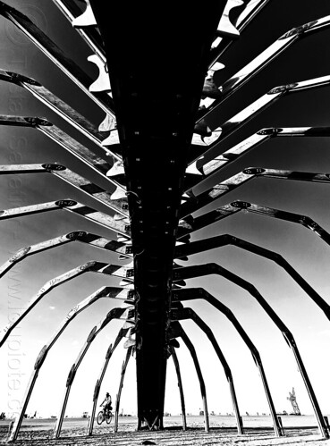 burning man - under the giant centipede - chilopod, art installation, centipede, chilopod