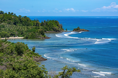 coastal landscape in northern sulawesi, coast, forest, jungle, sea, seascape, surf, waves