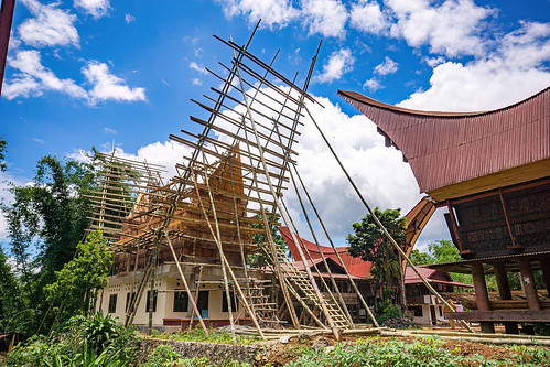 construction of traditional tongkonan roof on toraja house, bamboo scaffolding, construction, tana toraja, tongkonan house, tongkonan roof, village