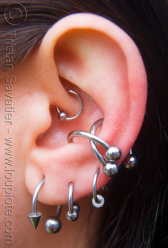 ear piercings with steel rings - catherine, cartilage piercing, catherine, dirty bird party, ear piercing, ear rim piercing, earlobe, earrings, helix piercing, jewelry