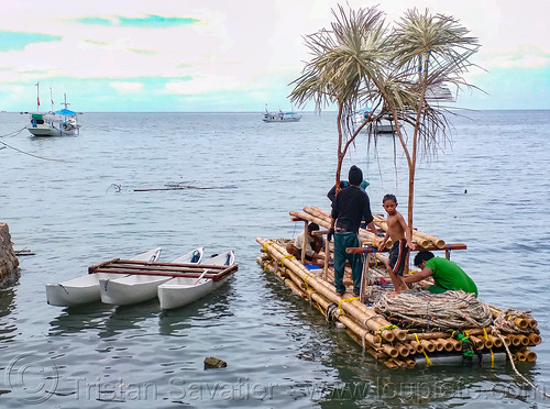 fish aggregating device - bamboo floating raft with fake trees to attract fish, bamboo raft, cannoes, fad, fish aggregating device, fish attracting device, fishermen, fishing, floating, men, ocean, sea