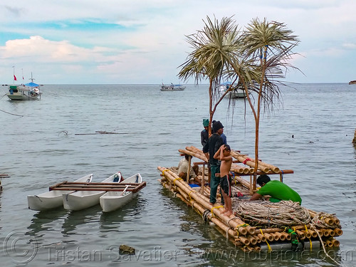 fish attracting device - bamboo floating raft with fake trees to attract fish, bamboo raft, fad, fish aggregating device, fish attracting device, fishermen, fishing, floating, men, ocean, sea