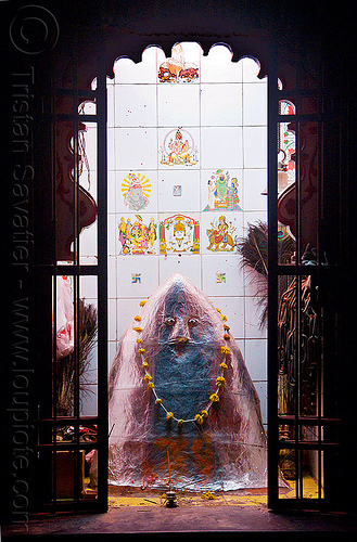 hindu shrine to khandoba - mallanna - udaipur (india), door, flower necklace, hindu deity, hindu god, hindu shrine, hinduism, hingu temple, khanderao, khanderaya, khandoba, mailar malanna, mailara linga, malhari martand, mallanna, mallu khan, mārtanda bhairava, offerings, peacock feathers, shiny, shiva linga, shiva lingam, shivling, statue