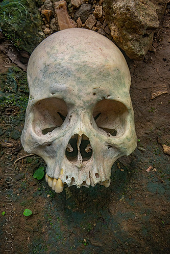human skull - kete-kesu traditional toraja burial site, cemetery, grave, graveyard, human skull, kete kesu burial site, liang, tana toraja, tomb
