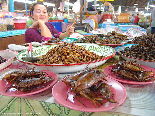 insects - giant waterbugs - market - food - thailand, edible bugs, edible insects, entomophagy, food, giant water bugs, larva, larvae, merchant, vendor