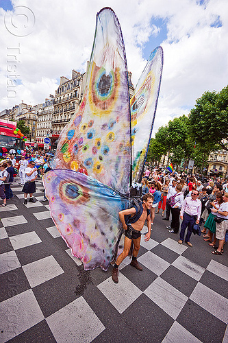 man with giant butterfly wings, butterfly costume, gay pride, man