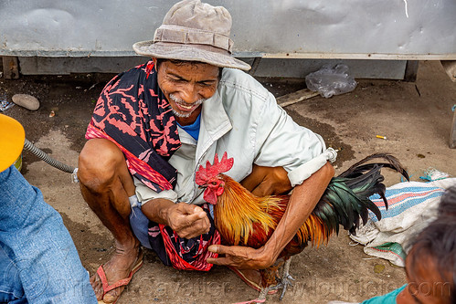 man with his gamecock rooster, bird, bolu market, cock-fighting, cockbird, fighting rooster, pasar bolu, poultry, rantepao, tana toraja