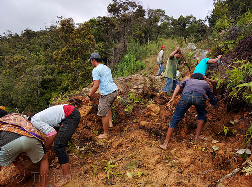 men clearing road landslide with hand shovels, bada valley road landslide, men, mountain road, road to bada valley, roadwork, working