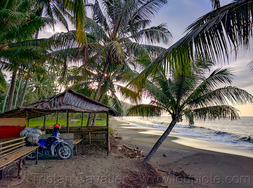 motorcycle camping on the beach - indonesia, beach, camping, coconut trees, motorcycle, ocean, palmtrees, pantai, sea