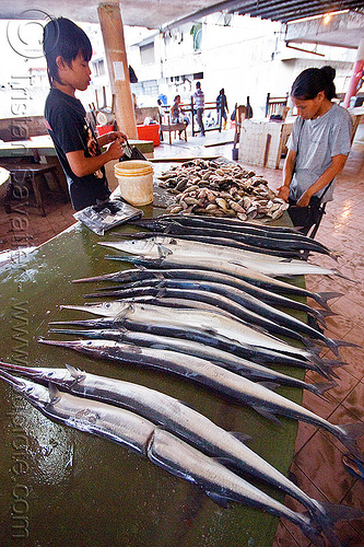 needlefish at fish market, borneo, fish market, fishes, fresh fish, lahad datu, malaysia, men, merchant, needlefish, raw fish, vendor