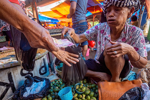 old woman selling betel nut at market, areca nut, banknote, betel nut, betel quids, hand, merchant, money, paying, street market, street seller, tana toraja, vendor, woman