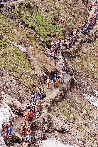 pilgrims on trail - amarnath yatra (pilgrimage) - kashmir, amarnath yatra, hindu pilgrimage, kashmir, mountain trail, mountains, pilgrims