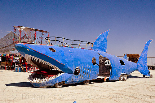 shark art car