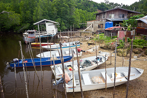 small boats on mooring poles (borneo), boat landing, borneo, fishing boats, houses, malaysia, mangrove, mooring poles, rain forest, river, small boats, village
