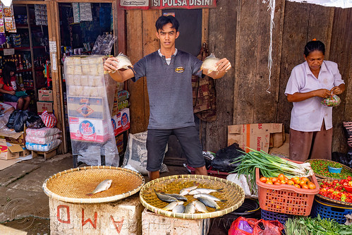 street merchant selling fish, fish market, man, merchant, seller, tana toraja