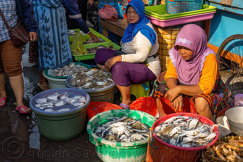 women selling blue crabs at fish market, blue crabs, blue manna crabs, blue swimmer crabs, fish market, flower crabs, pasar pabean, portunus pelagicus, rajungan, sand crabs, seafood, street seller, surabaya