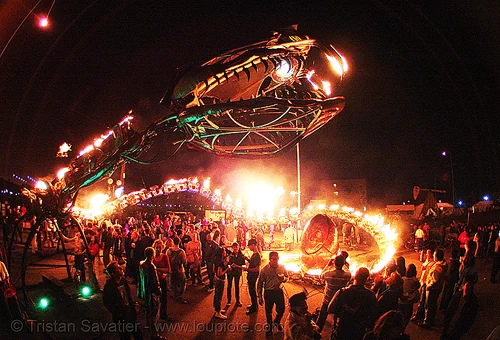 giant snake skeleton sculpture - head - crucible fire arts festival 2007 (oakland, california) - serpent mother, burning, fire art, fisheye, sculpture, serpent mother, skeleton, snake