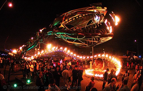giant snake skeleton sculpture - head - crucible fire arts festival 2007 (oakland, california) - serpent mother, burning, fire art, fisheye, sculpture, serpent mother, skeleton, snake