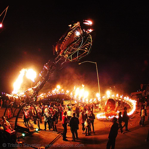 giant snake skeleton sculpture - head - crucible fire arts festival 2007 (oakland, california) - serpent mother, burning, fire art, fisheye, sculpture, serpent mother, skeleton, snake