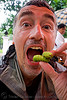 Eating Bugs - Edible Insects - Entomophagy