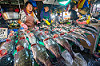 Fish Markets
