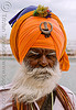 The Sikhs (India)